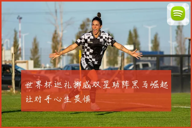 世界杯巡礼挪威双星助阵黑马崛起让对手心生畏惧