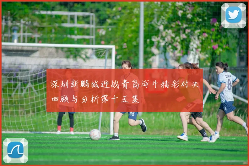 深圳新鹏城迎战青岛海牛精彩对决回顾与分析第十五集